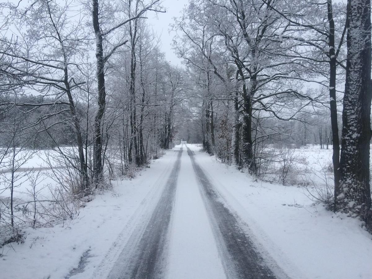 Chamedafne W Puszczy Kampinoskiej Brochów Exterior foto